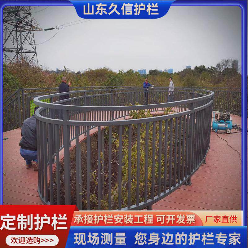铁艺护栏户外学校鱼池鱼塘护栏厂区庭院办公区医院护栏河道护栏