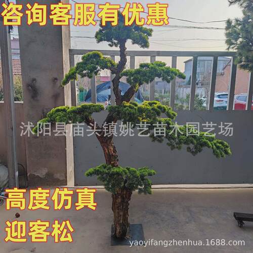 仿真松树大型室内外装饰造景假树罗汉松仿真迎客松仿真罗汉松