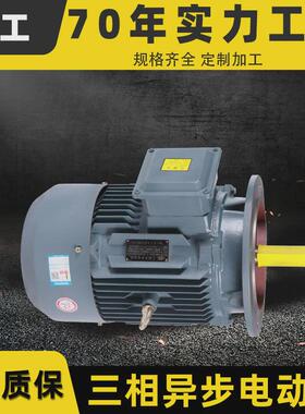 380V无刷电机马达5.5/7.5/11kw卧式真空泵电动机三相异步电机