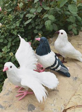 仿真鸽子摆件模型白鸽假鸽子和平鸽婚庆婚礼装饰道具羽毛动物标本