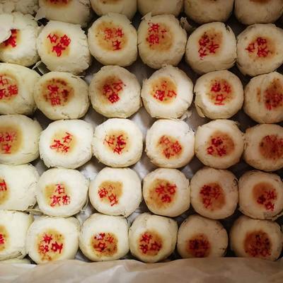 新款 陕西特产石灰窑传统水晶饼正宗渭南健民白皮伍仁点心椒盐芸