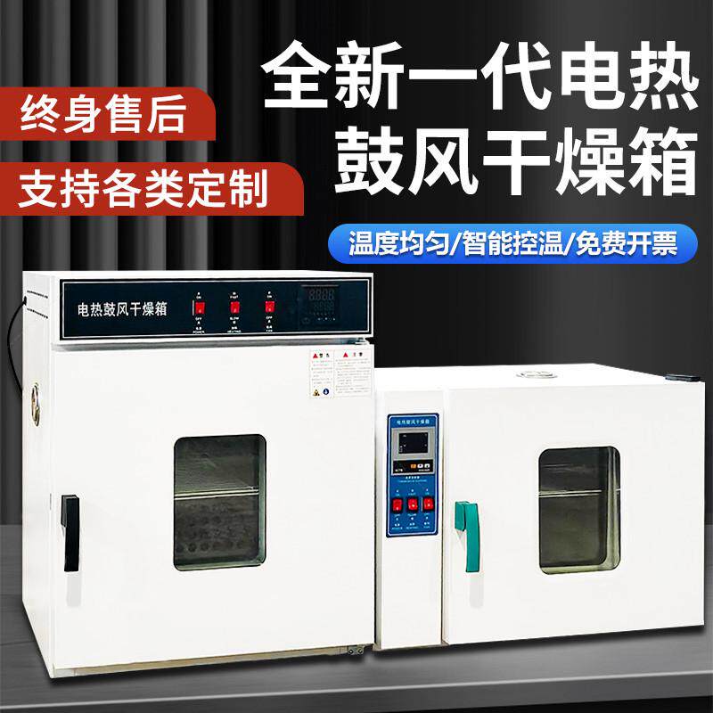 电热恒温鼓风干燥箱实验室小型烘箱食品烘干机工业高温烤箱烘干箱图片