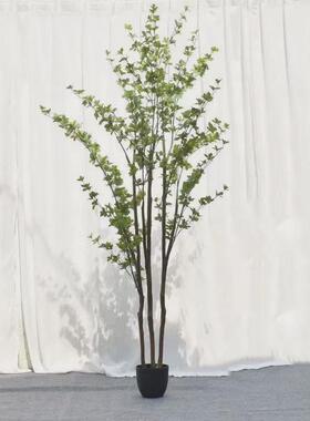 仿真吊钟树绿植马醉木轻奢客厅大型盆栽室内假植物落地摆件仿真树
