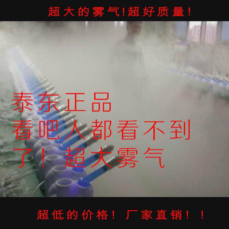 泰东喷雾器蒸脸器 家用蒸面器美容仪单冷喷雾 脸加湿器美颜仪包邮