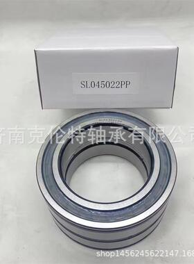 满装圆柱异形轴承sl045022pp轴承非标滚子轴承