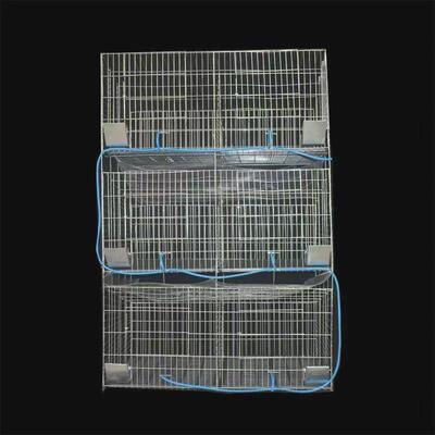 加粗加大12位24位养殖场养殖兔笼子母种兔笼大号家用专用兔笼兔舍