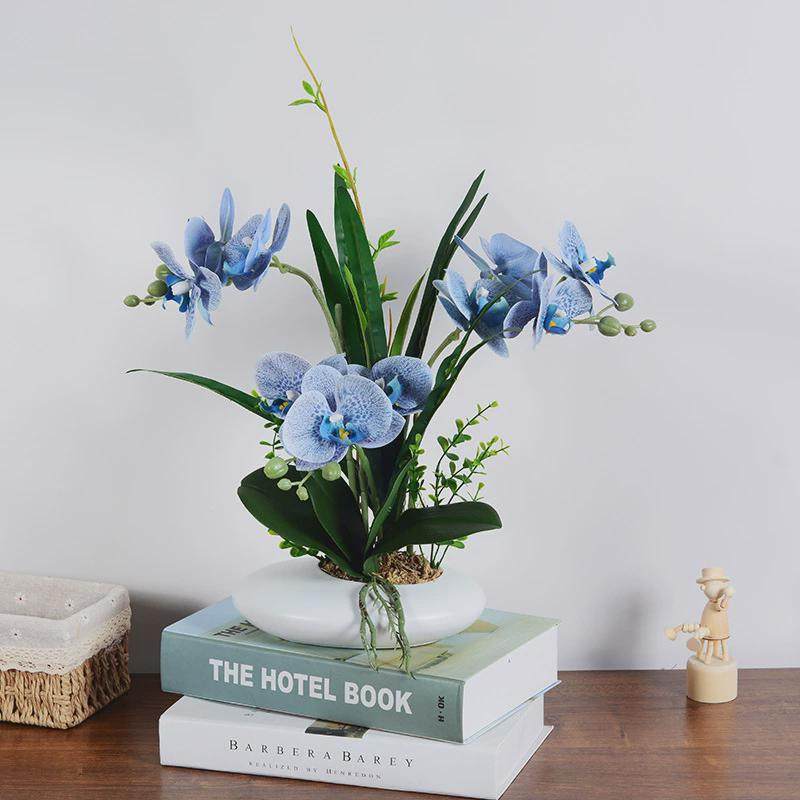 工厂新品仿真花蝴蝶兰陶瓷胶花卉手感盆栽仿真绿植物盆景套装摆件,鲜花速递/花卉仿真/绿植园艺,仿真绿植,淘宝优惠券,粉丝福利购,淘宝优惠卷