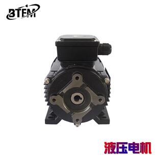 纯铜线叶片泵TOP油泵内插马达齿轮泵内轴式 铝壳液压三相异步