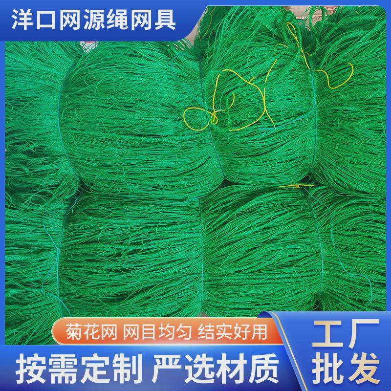 菊花种植网防倒伏网大棚种植方格网园艺植物爬藤网定植大葱菊花韭