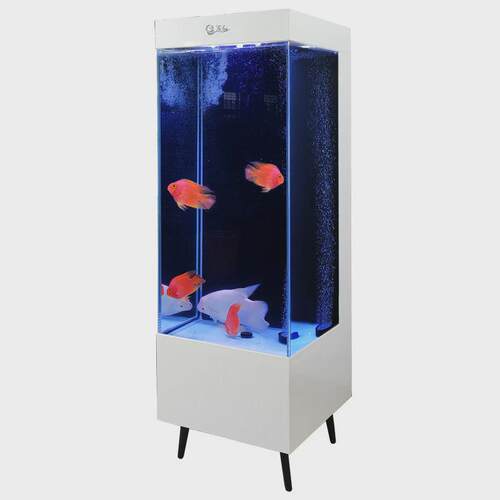 家用超白落地鱼缸客厅新款轻奢背滤靠墙全套免换水族箱立式金鱼缸