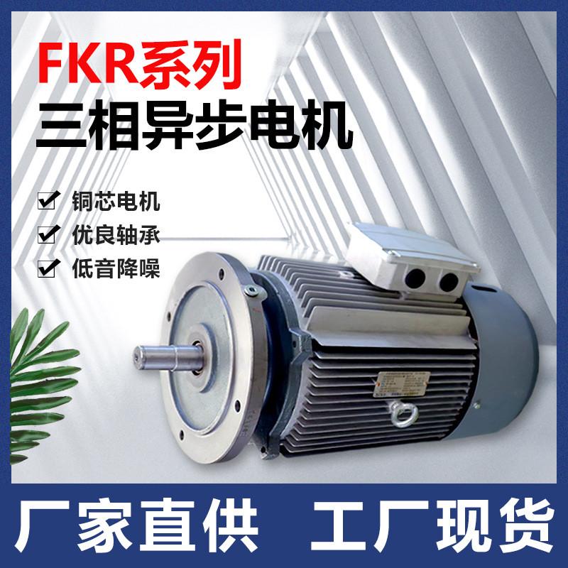 三相异步电机f/k/r系列减速机用铜芯电机ycd80s-4电机运行变频