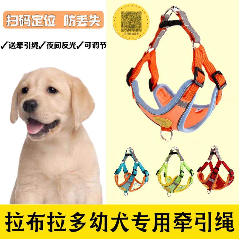 拉布拉多幼犬专用牵引绳狗狗绳子背心式金毛用品狗链子防爆冲遛狗