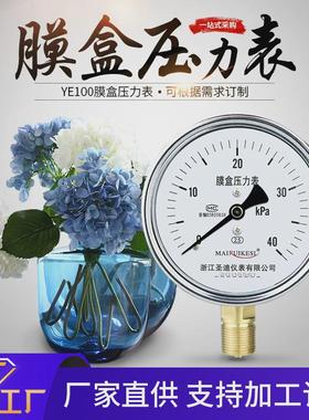 YE100燃烧机气压表0-25KPa40KPa60KPa16KPaM20*1.5膜盒压力表