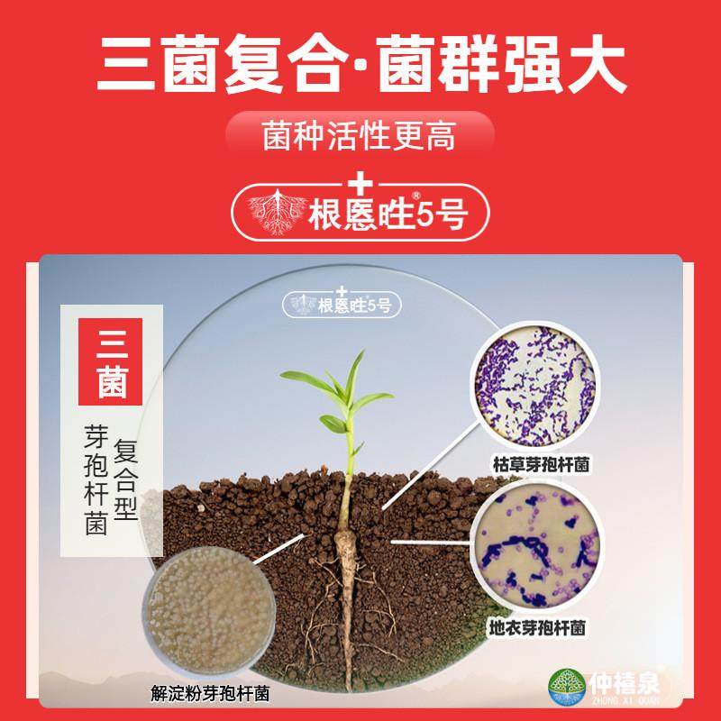 枯草芽孢杆菌微生物菌剂腐液地衣解淀粉生根粉重茬死棵烂苗根肥