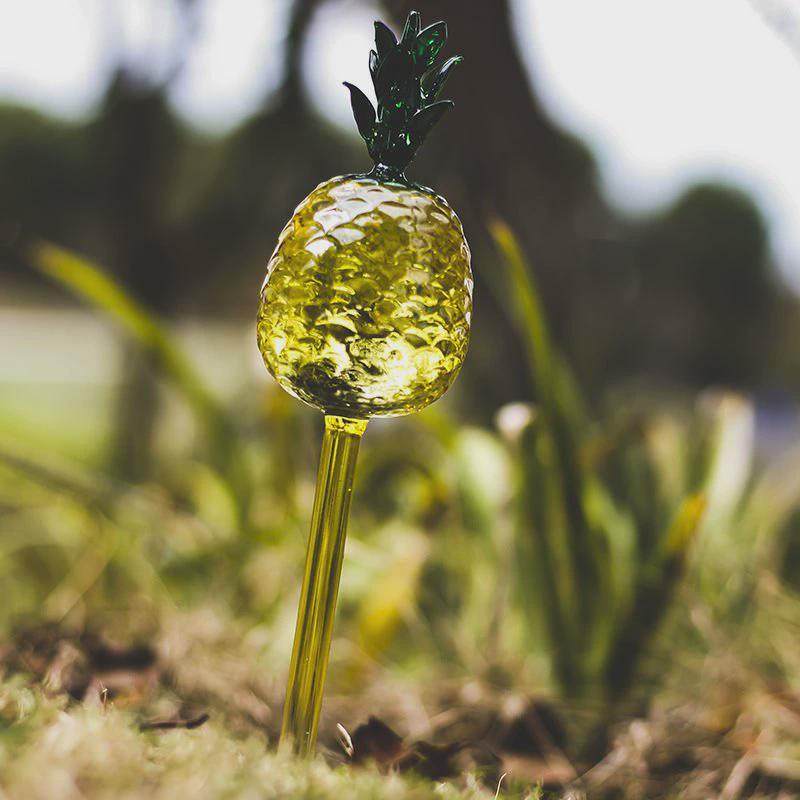 透明玻璃懒人浇花养花渗水滴灌家用绿植盆栽自动浇花器园艺工具,鲜花速递/花卉仿真/绿植园艺,园艺用品套装,淘宝优惠券,粉丝福利购,淘宝优惠卷