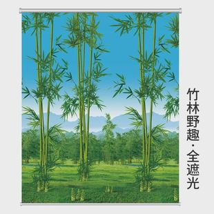 卷帘窗帘遮光遮阳升降免打孔安装 31n新款 卫生间阳台厨房卧室卷拉
