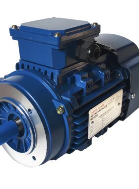 Y290L6|1.1KW|6极|910转电机|三相交流|380V