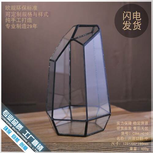 玻璃桌面苔藓造景雨林微景观容器皿生态瓶创意花房花盆六面切割中