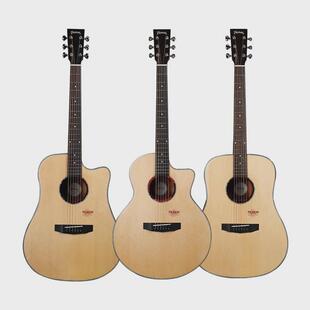 吉他2.0升级款 35tf850黑羽夏至海豚面单全吉他电箱加振单