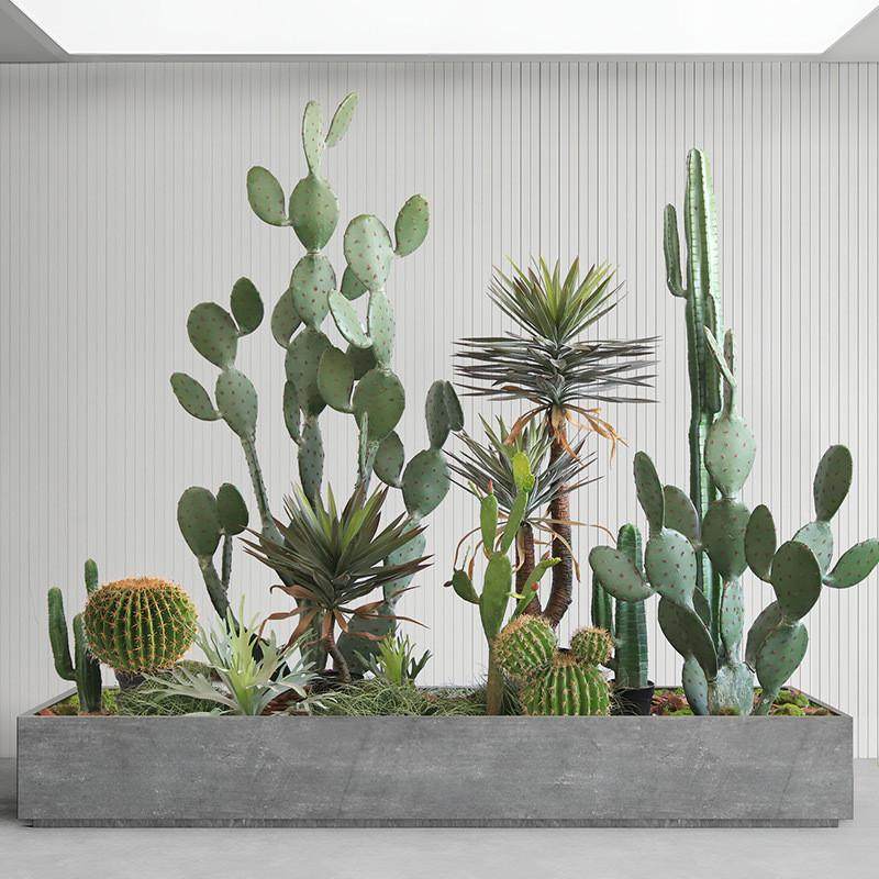 沙漠造景大型仙人掌仿真绿植假植物仙人掌仙人镜室内落地橱窗装饰,家居饰品,仿真花/假花,淘宝优惠券,粉丝福利购,淘宝优惠卷