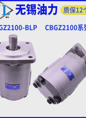 cbg齿轮源长油泵/cbgz2040/2050/2063/2080/2100-bfp液压油泵