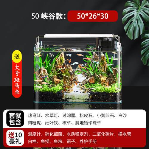 鱼缸造景全套热弯玻璃缸客厅小型生态免换水桌面草缸迷你金鱼缸