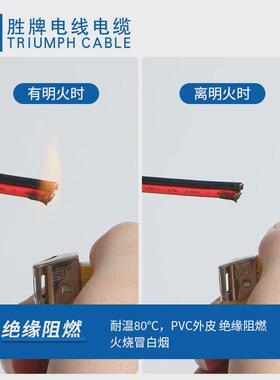 胜牌2468并线-12awg模组双并线耐温80度红黑双红黑线端子线材