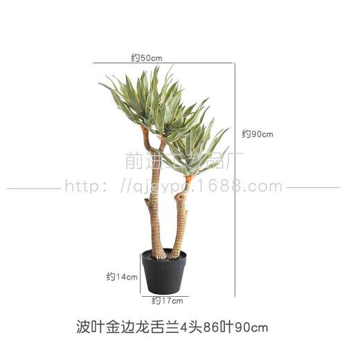 沙生植物仿真芦荟龙舌兰造景装饰摆件假树铁铁马尾荷兰店铺软装