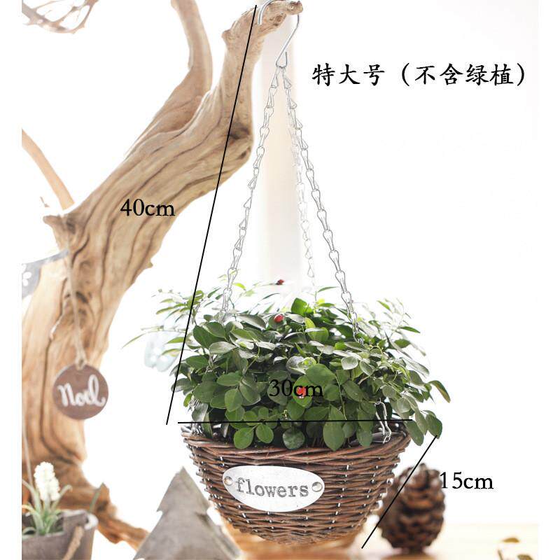 y0ez批发吊兰半壁吊篮挂篮悬挂壁挂式墙上盆篮子藤编挂壁花篮挂墙