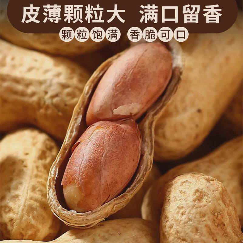 现货新货手工柴火炒花生带壳铁锅原味炒花生大粒净重坚果炒货年货