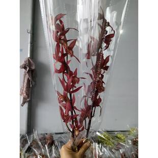 【大花鲜切花】年宵花盆栽蕙兰批发昆明基地直供节日节庆室内摆