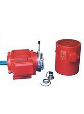 厂家直销变频yvej调速制动刹车电机