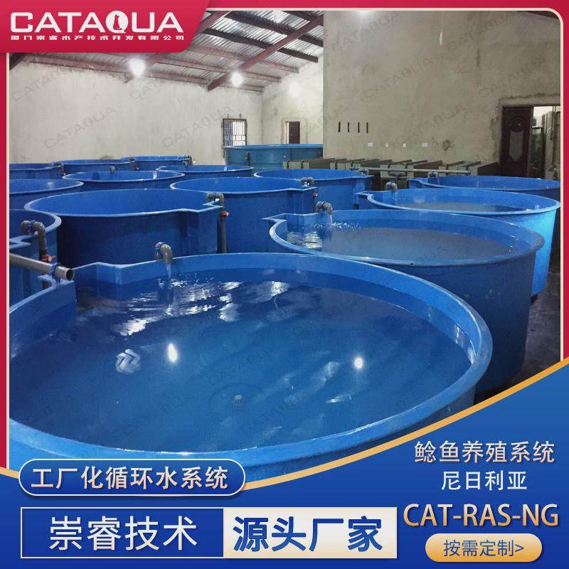 尼日利亚养殖循环水养殖水处理系统罗非鱼鲶鱼循环水工厂化系统,畜牧/养殖物资,渔业用具,淘宝优惠券,粉丝福利购,淘宝优惠卷