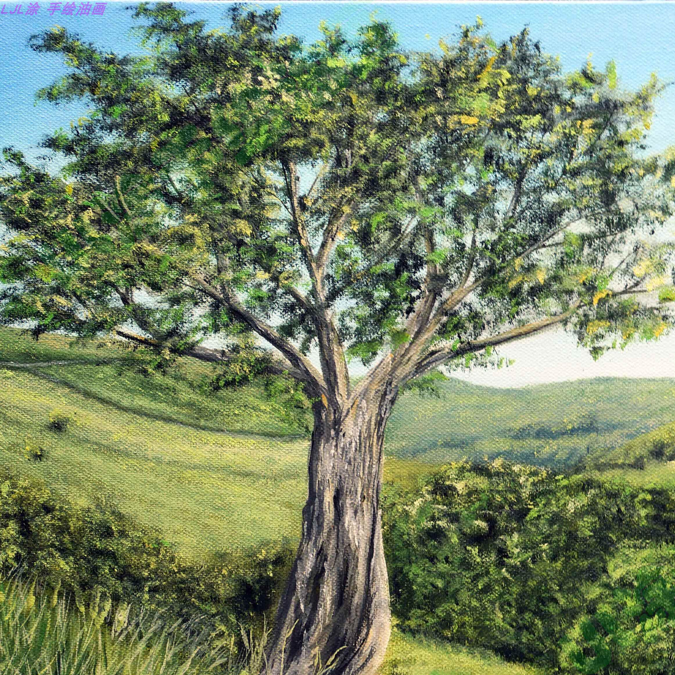 50*70cm 手绘 油画 风景 山 树 欧式 单幅 小路 树丛 草地  ljl涂