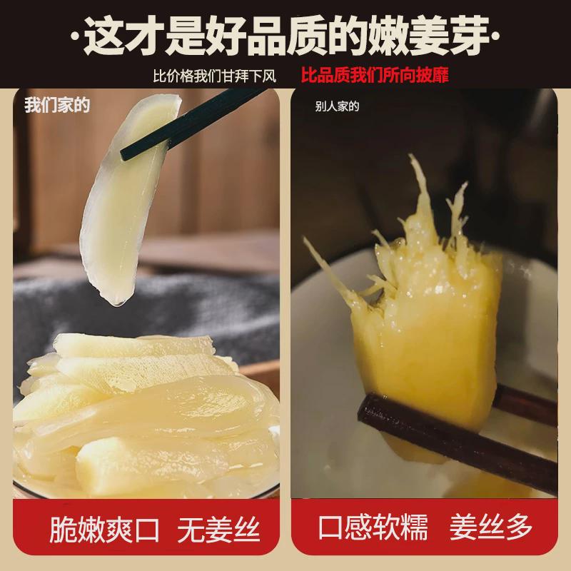 无蔗糖新鲜嫩姜芽新鲜爽口瓶装泡仔姜牙泡生姜嫩芽姜桐乡酱菜包邮