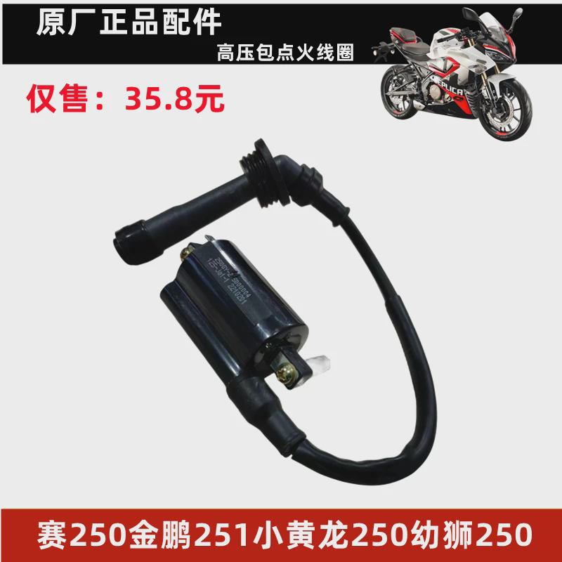钱江赛250GS-29F摩托车金鹏251小黄龙 幼狮250高压包点火线圈带帽