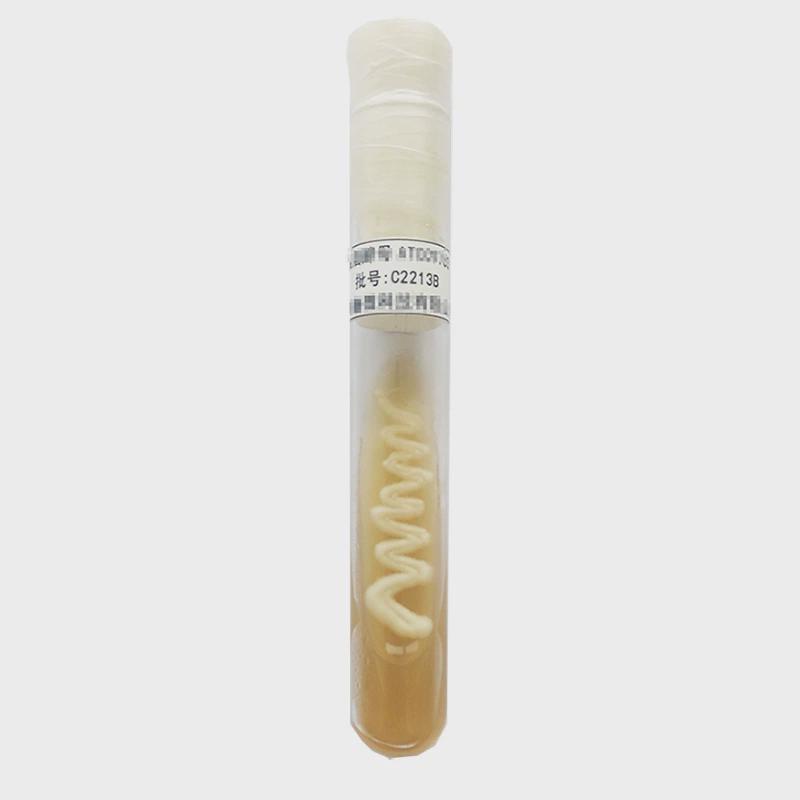 酿酒酵母菌种ATCC9763二代斜面菌株质控标准菌株试验用