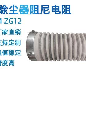 ZG12阻尼电阻静电除尘器高压阻尼电阻500W1000W2000W2800W3000W