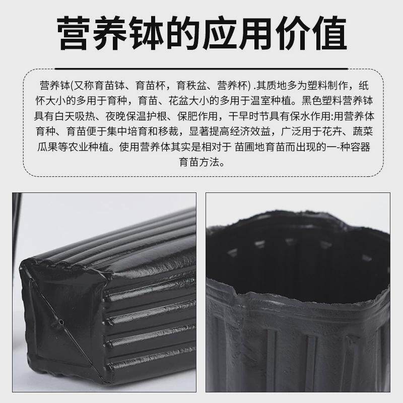细长方口加厚加高黑色脐橙营养钵育苗杯塑料育苗袋一次性杯柑橘杯