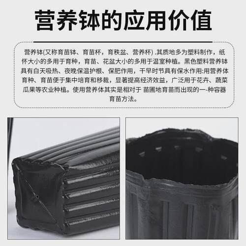 细长方口育苗袋加高黑色一次性营养钵育苗杯塑料加厚脐橙杯柑橘杯