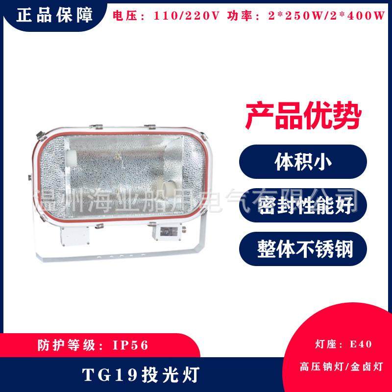 船用不锈钢投光灯防水高压钠灯tg19金属卤化物灯250w/400w×2户外