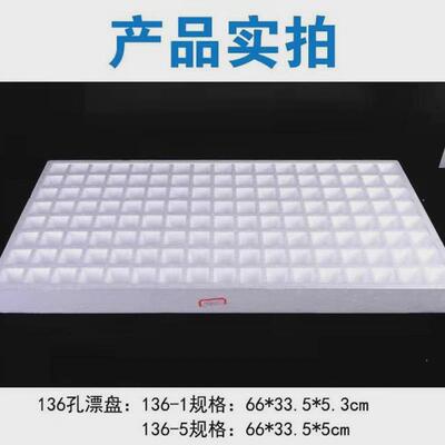 育苗萝卜盘泡沫育苗盘托盘飘苗芹菜莴笋生菜蔬菜培育水上板漂浮穴