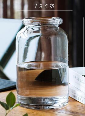 个性简约现代创意透明玻璃花瓶摆件客厅小清新插花水培植物花器