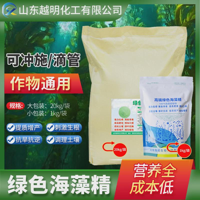绿色海藻含量高精45%有促生长壮苗增产水溶肥酶解生根剂海藻精