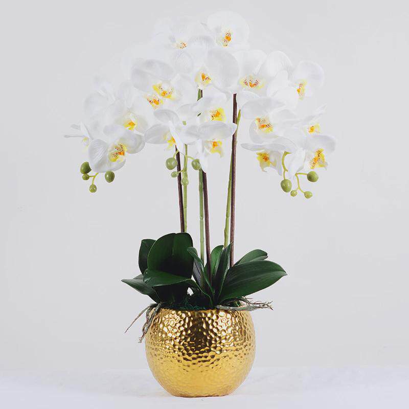 手感胶片蝴蝶兰仿真花摆件客厅兰花假花轻奢ins北欧盆景装饰摆设,鲜花速递/花卉仿真/绿植园艺,仿真绿植,淘宝优惠券,粉丝福利购,淘宝优惠卷