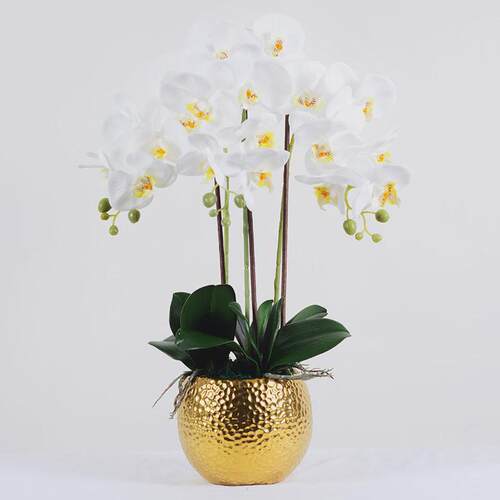 手感胶片蝴蝶兰仿真花摆件客厅兰花假花轻奢ins北欧盆景装饰摆设