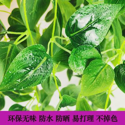 仿真植物壁挂绿植盆栽吊兰盆悬挂式户外装饰藤条遮挡绿萝吊篮垂吊