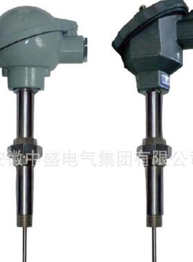 wrn-230-f钛合金防腐热电偶