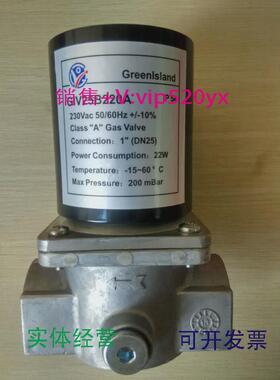 现货供应GIV20B220A电磁阀GIV25B220A燃气快开快闭电磁阀