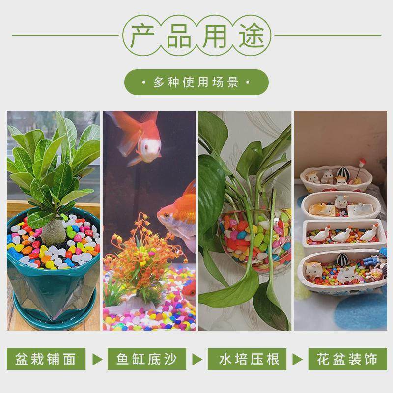 七彩石彩色小石子五彩石头盆栽多肉植物花盆石子铺面鱼缸造景天然